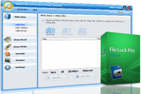 GiliSoft File Lock Professional ten.5.